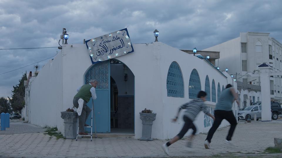 L'oiseau bleu